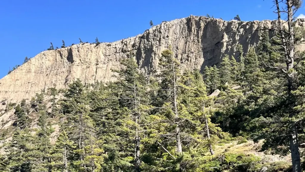 lower-mustang