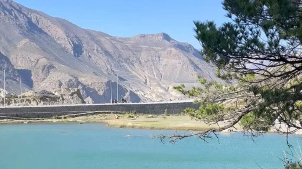 lower-mustang-view