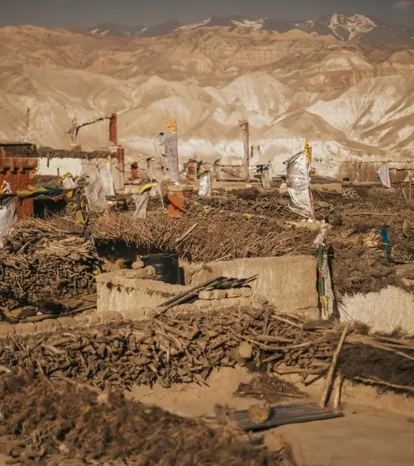 upper-mustang-view