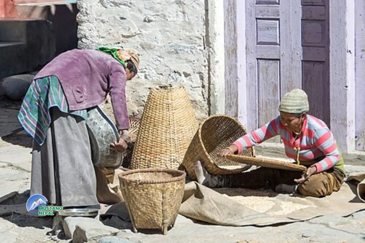 economy-and-livelihood-of-mustang